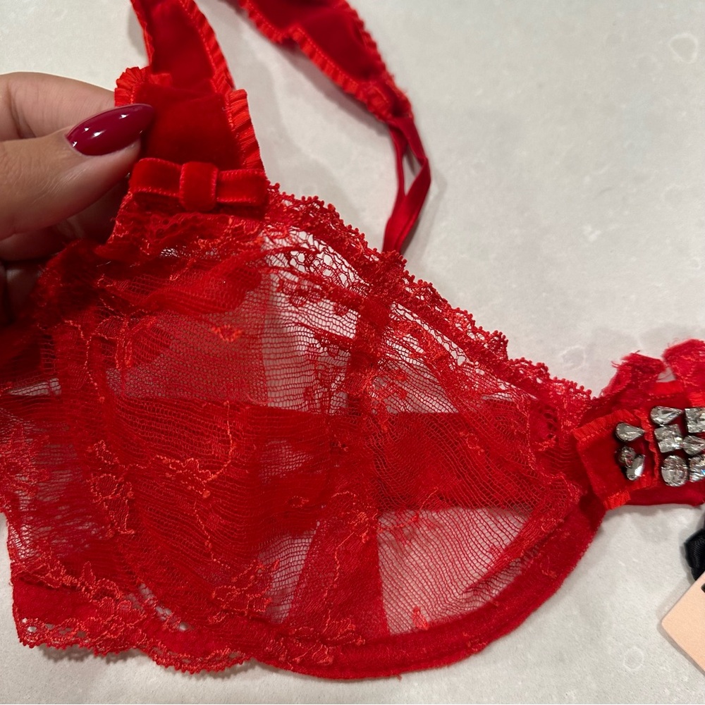 Victoria's Secret Designer Fashion Show 2013 Swarovski Crystal Red Bra & Panty - Picture 8 of 14